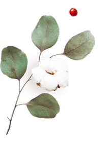 https://gabriela-orozco.click/wp-content/uploads/2020/10/floating_image_06.png