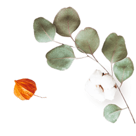 https://gabriela-orozco.click/wp-content/uploads/2020/10/floating_image_07.png
